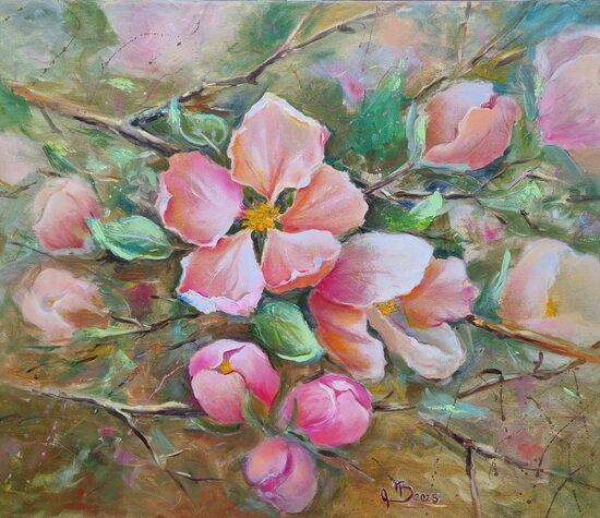 Ābeļziedi / Apple Blossoms